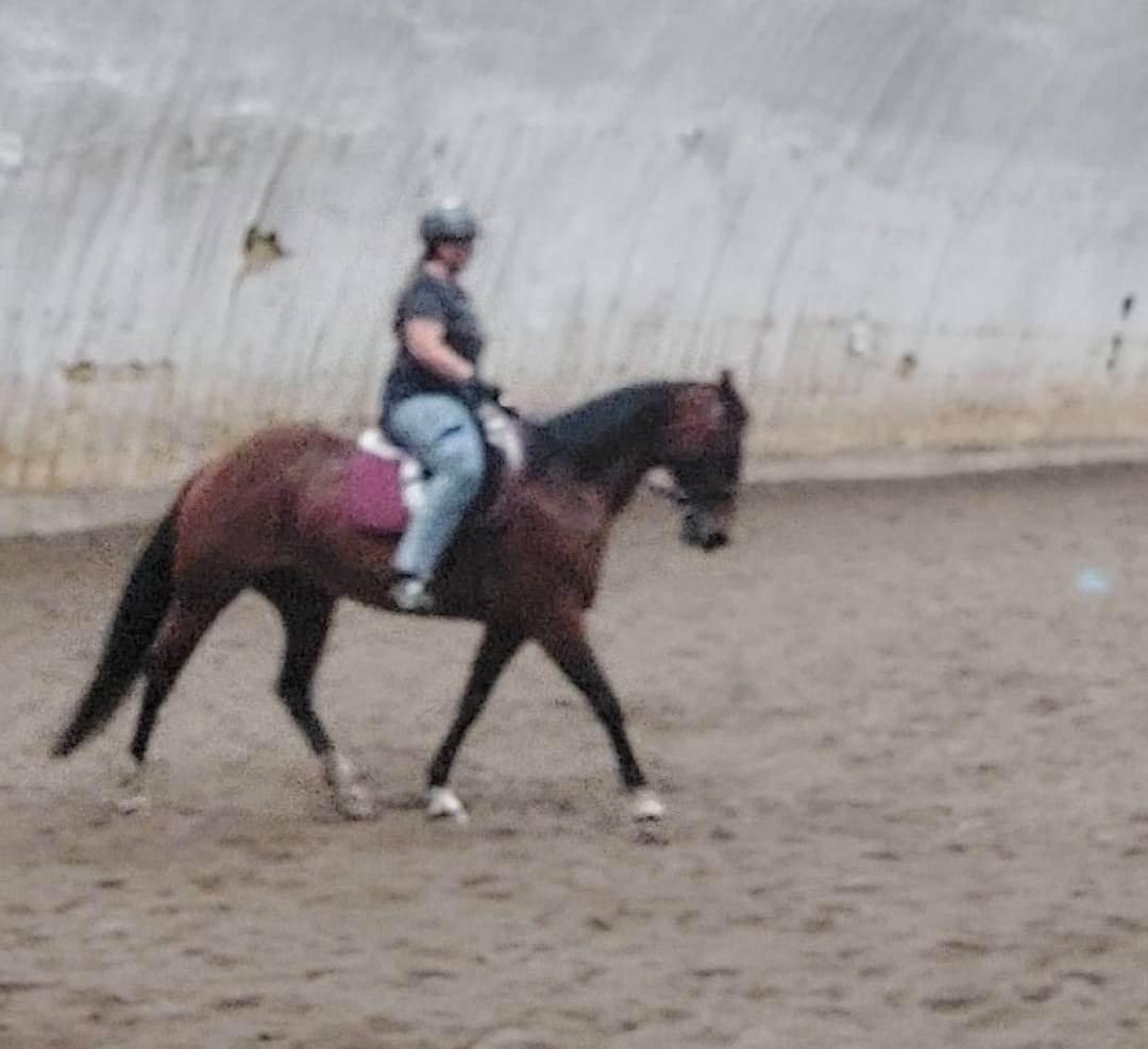 The Horse World and the Overweight Rider